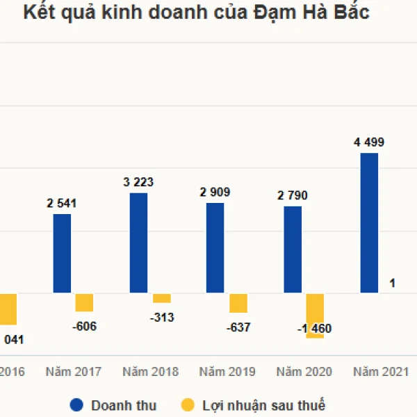 Đạm Hà Bắc lỗ gần trăm tỷ đồng trong nửa đầu năm