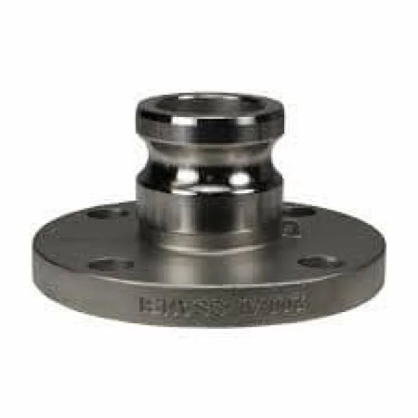 2 Inch ANSI Flange