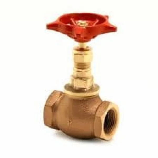 Globe Valve DN 50