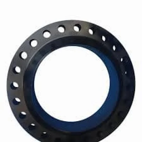 DN700 Flange