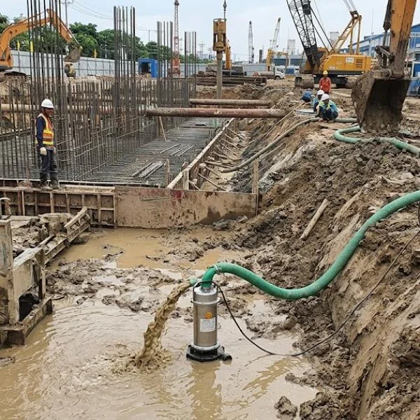 Công suất bơm chìm daphovina 3hp