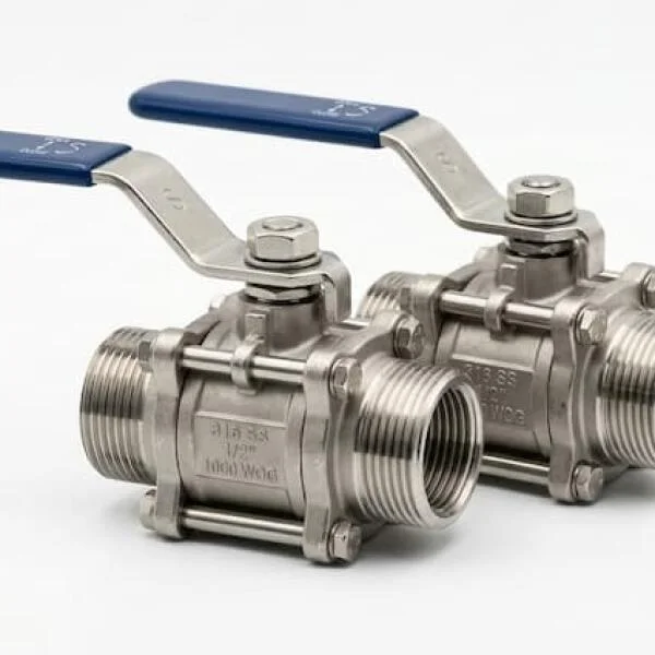 Vanne Inox 1 2