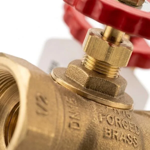 Kiểm tra brass gate valve 1 2