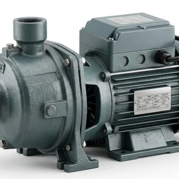 Máy Bơm Nước 750W Trung Quốc
