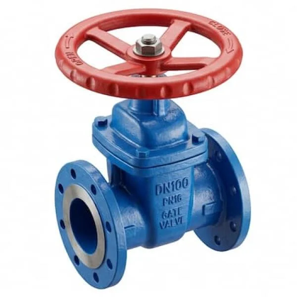 Van cổng ty chìm DN100