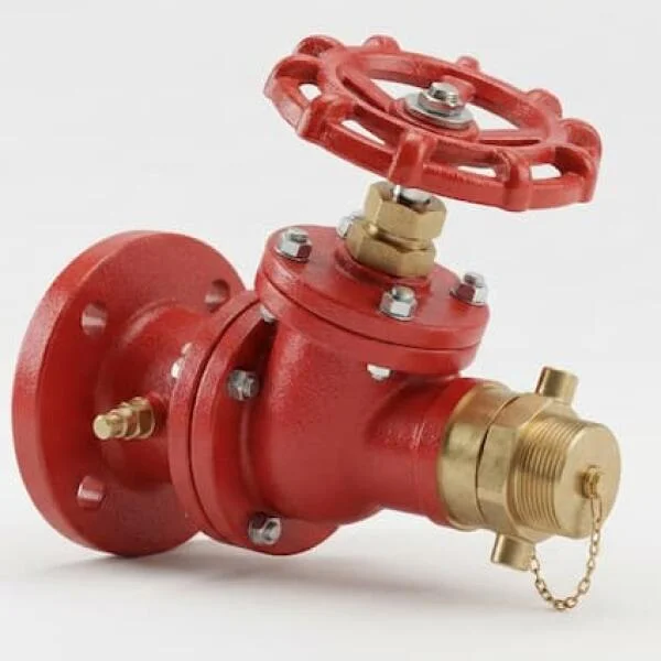 Fire Hydrant Valve