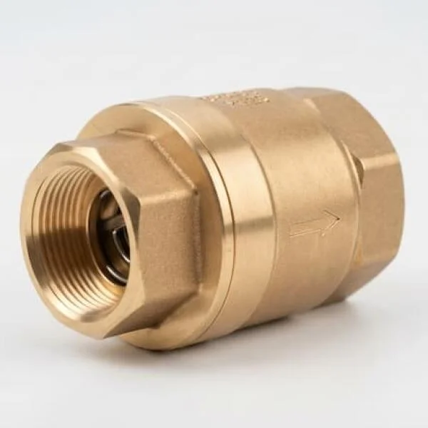 Brass check valve