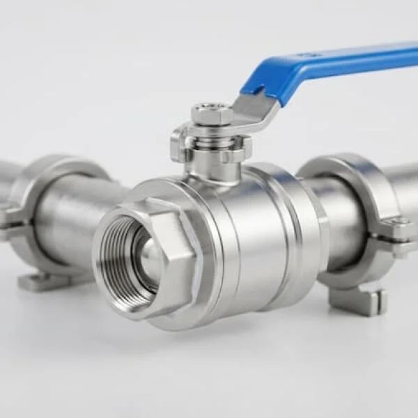 Stainless Steel Ball Valve with a Blue Handle