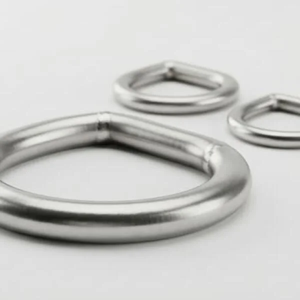 Stainless Steel D Ring