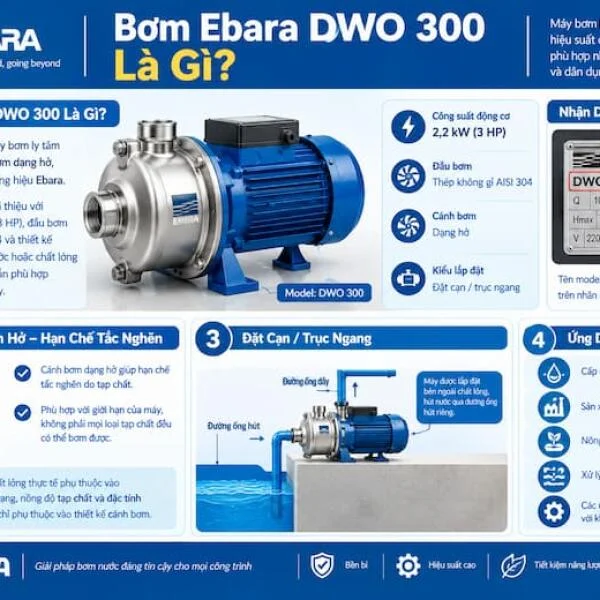 Bơm Ebara DWO 300