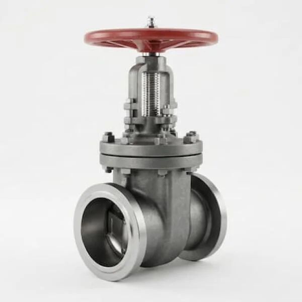 Gate Valve Butt Weld