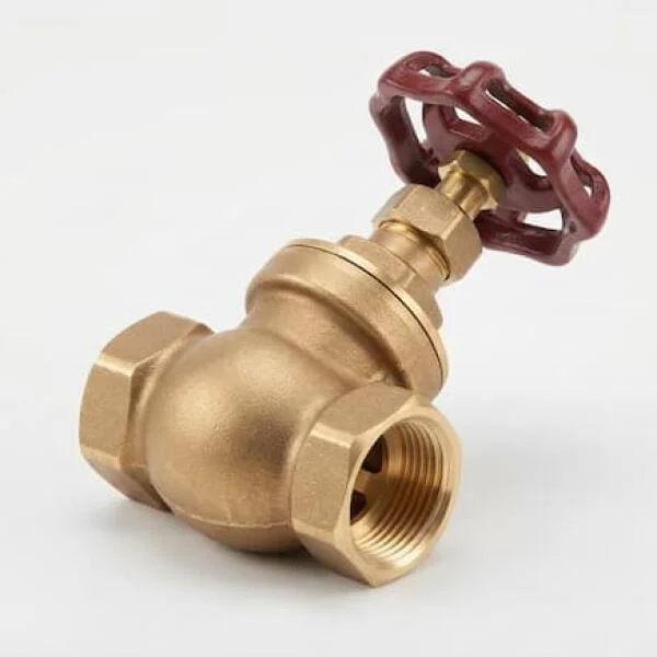 Globe Valve 1 2