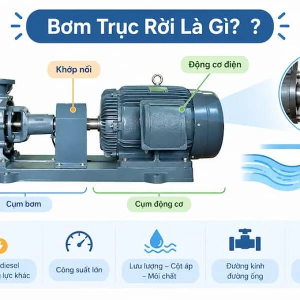 Bơm Trục Rời
