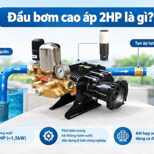 Đầu bơm cao áp 2HP