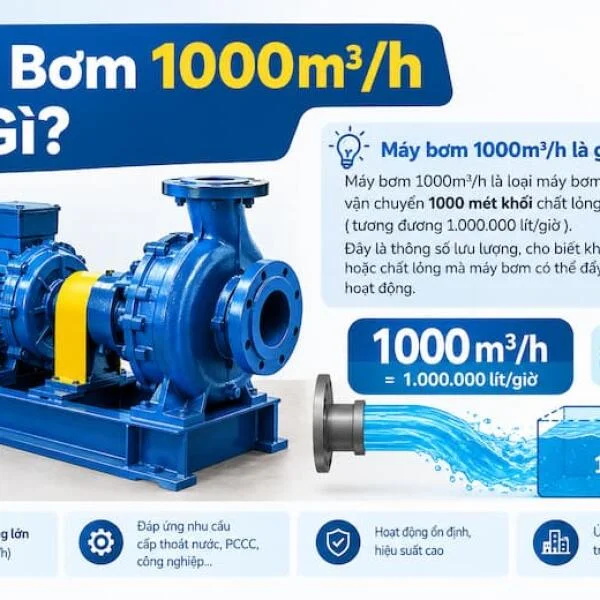 Máy Bơm 1000m3 h
