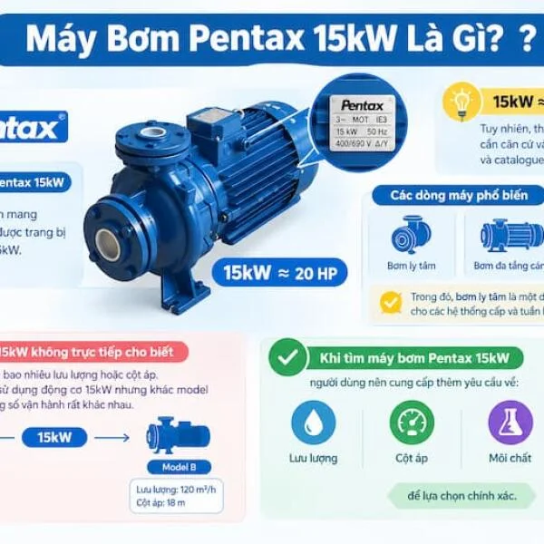 Máy Bơm Pentax 15kW