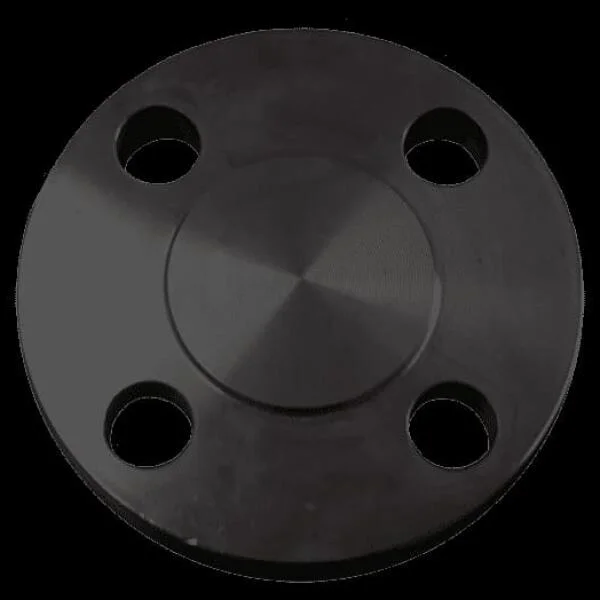 Blind Flange 12