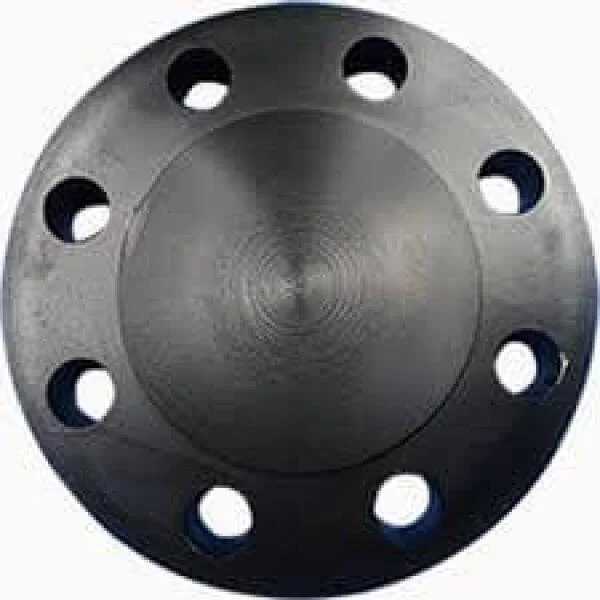 Blind flange 6 inch