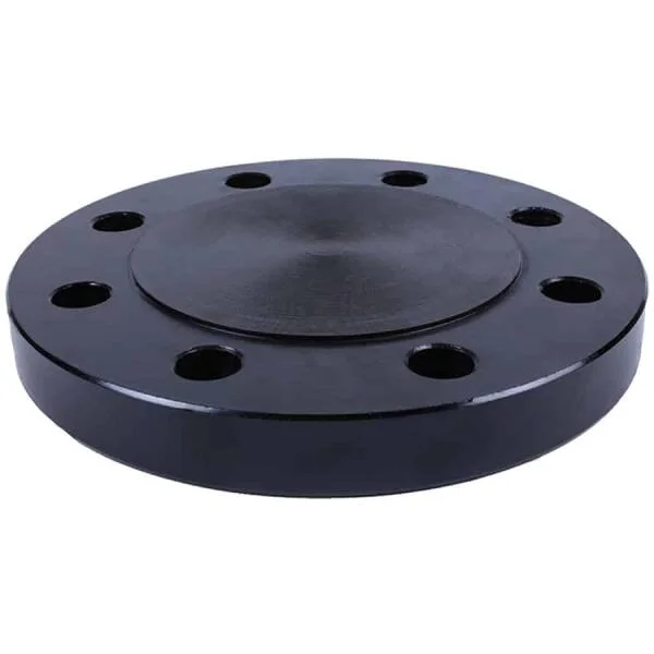Blind Flange Raised Face