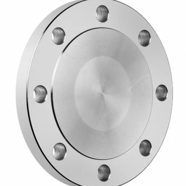 Blind Flange Stainless Steel