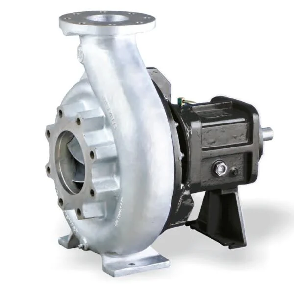 Bơm hóa chất đầu inox