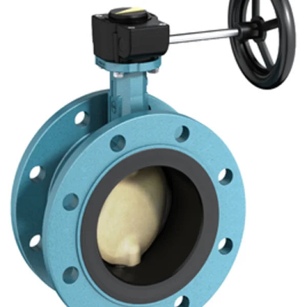 Butterfly valve double flange