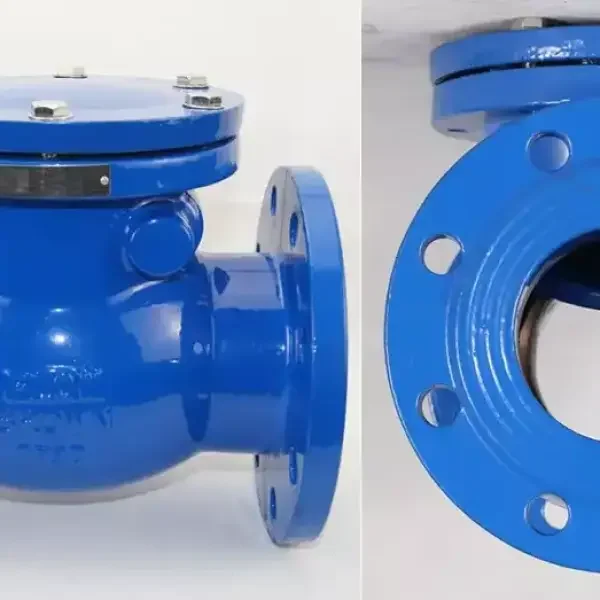 Check valve
