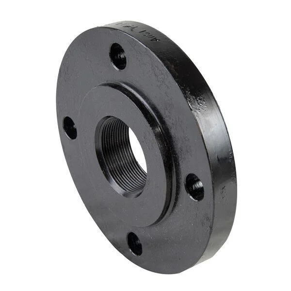 Companion Flange