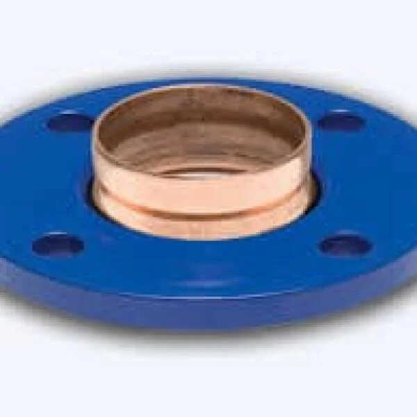 DIN 16 Flanges