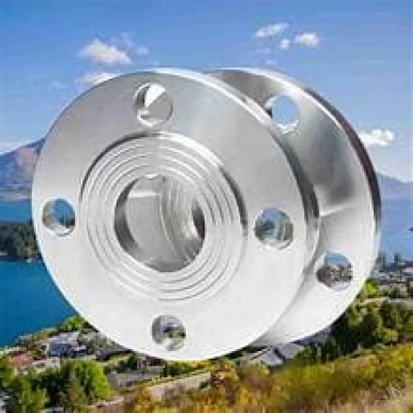 DN125 Flange