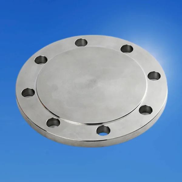 DN250 flange