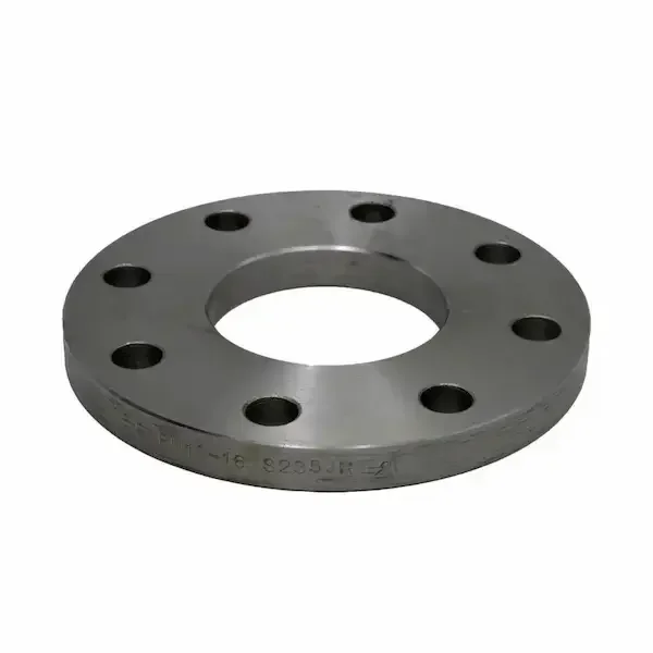 DN50 flange