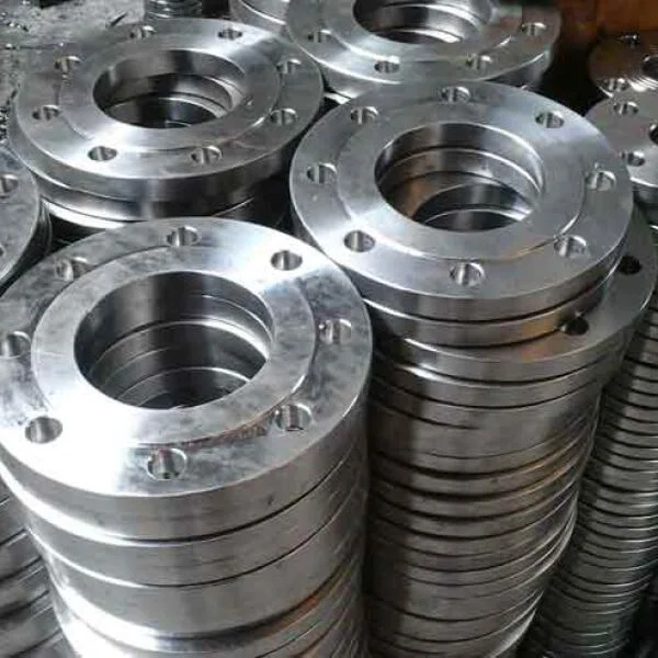 Flange SUS 304