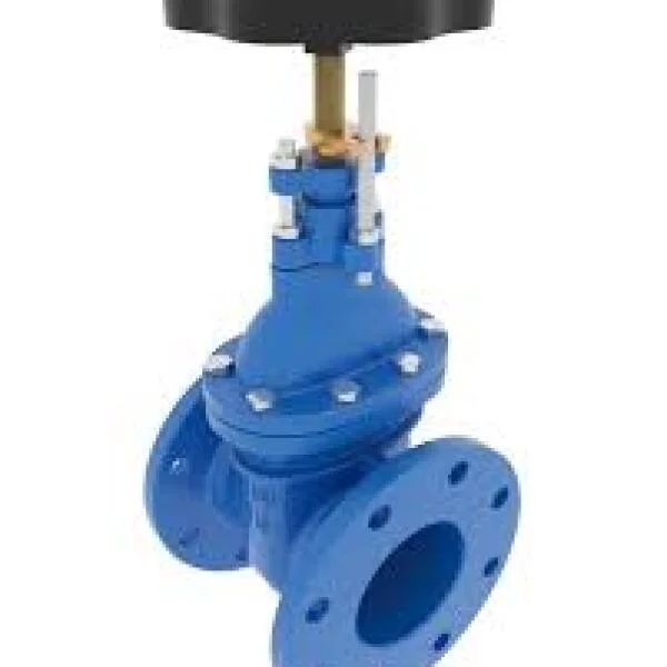 Gate valve dn500