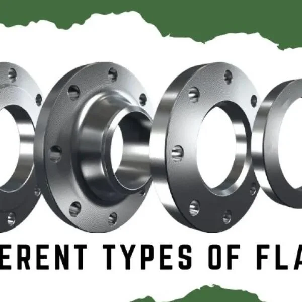 Industrial types of flanges