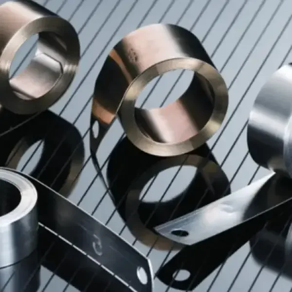 Inox 301
