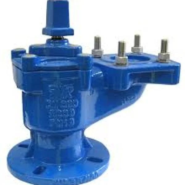 Isolation valve flange