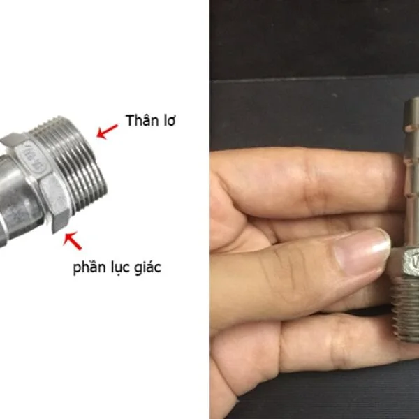 Nối Đuôi Chuột Inox