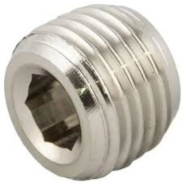 Plug inox