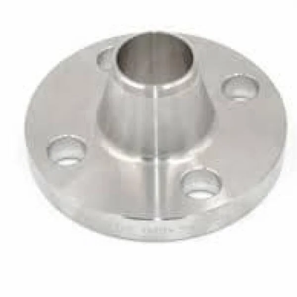 SS316L Flange