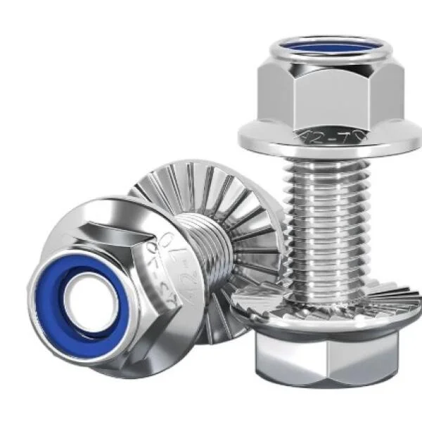 Stainless steel flange with nuts and bolts