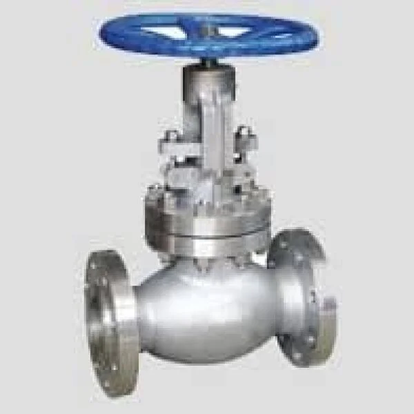 Stainless steel globe valve