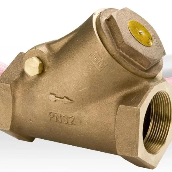 Swing check valve