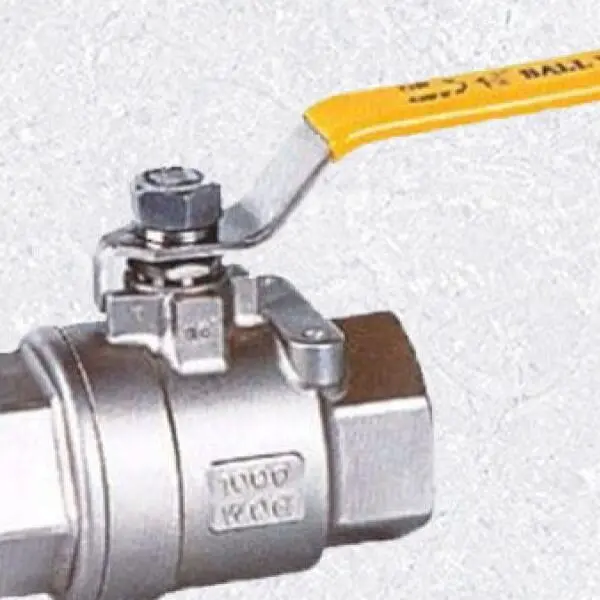 Van bi ren inox