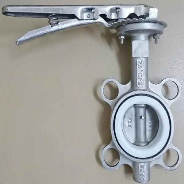 Van inox phi 60
