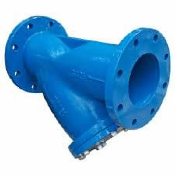 Y Type Strainer