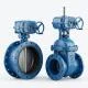 16 Inch Valve