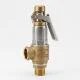 safety-valve-s10
