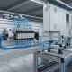 van-festo-3