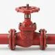 FM valve